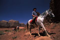 A cheval avec les Wadi Rum Horses