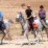 group-of-riders-on-the-start-of-the-arabian-ride_-_copie.JPG